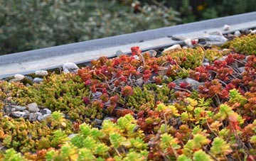 the cost of Pinkney green roof installation