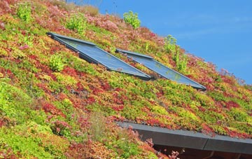 Pinkney living roof systems