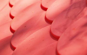 Pinkney plastic roof costs