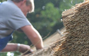 professional Pinkney thatchers