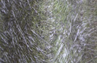 Pinkney fibreglass roof work