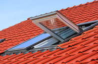 Pinkney roof window